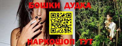 сатива Обь